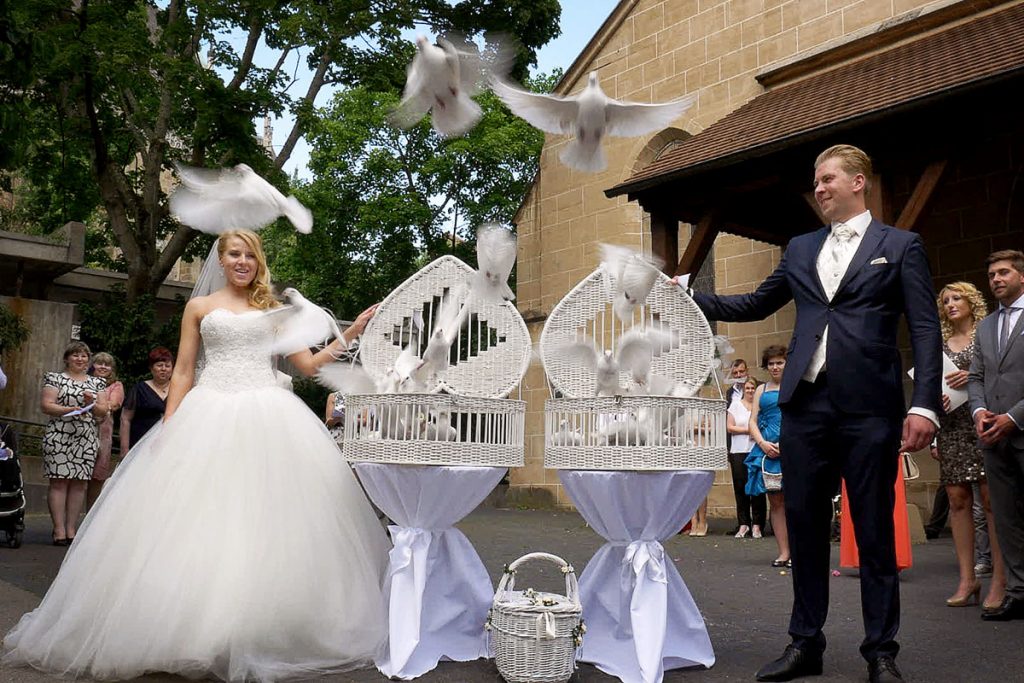 Hochzeitstauben fliegen